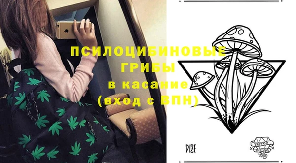тгк Горнозаводск