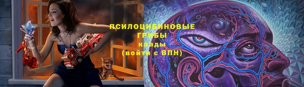 тгк Горнозаводск